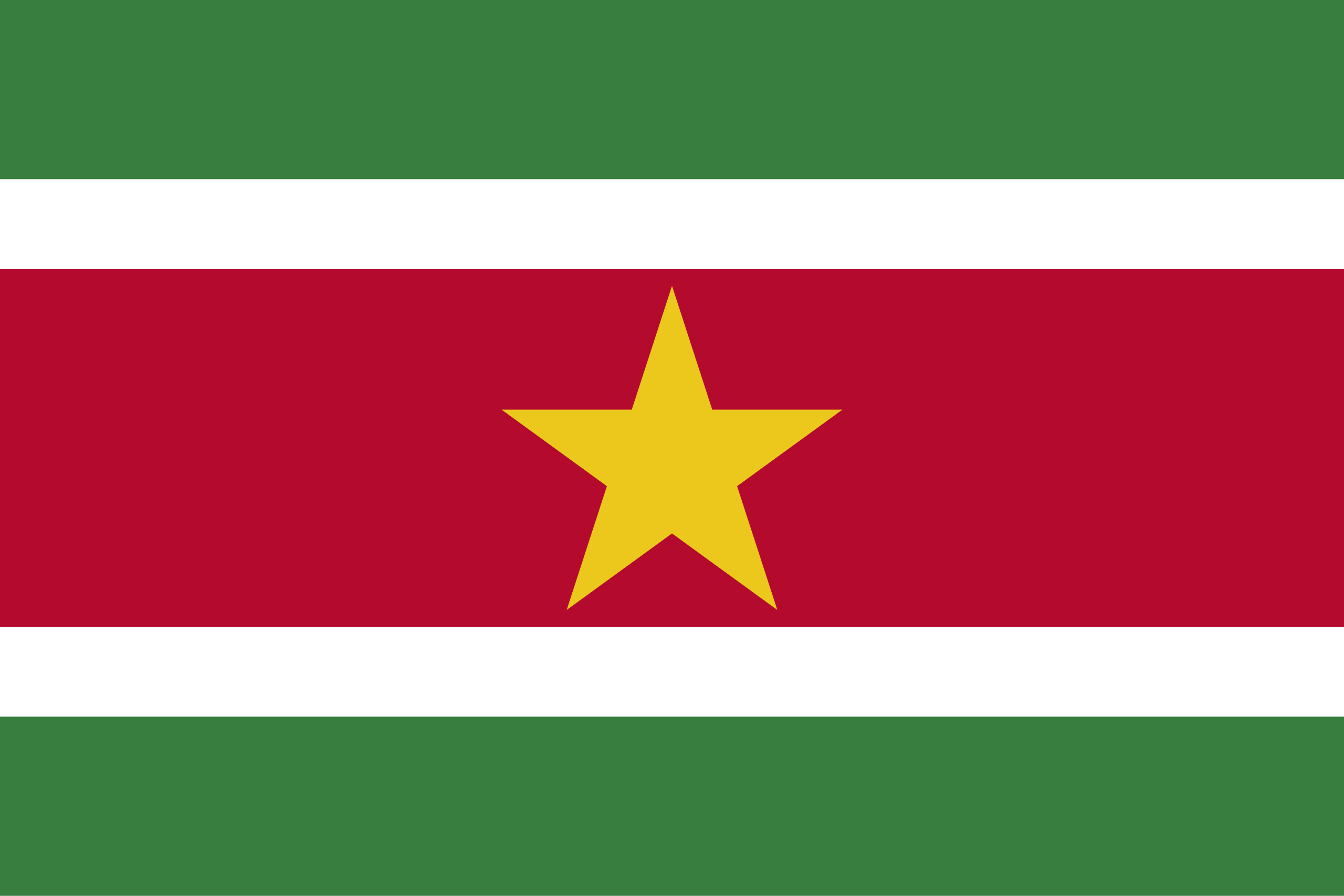Flag_of_Suriname.jpeg
